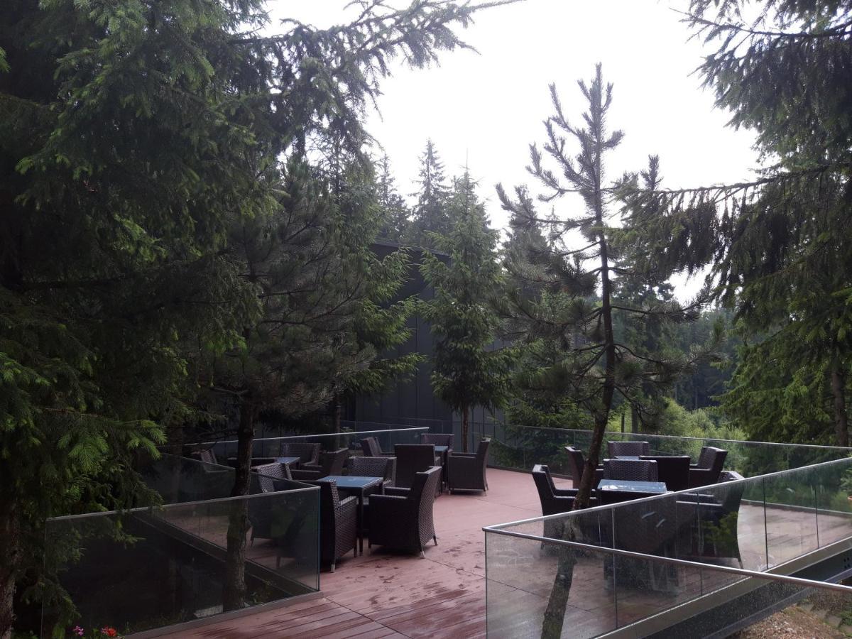Complex Hotelier Cota O Mie Sinaia Eksteriør billede